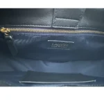 Lanvin Hobo Cat Bag