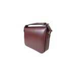 Celine Triomphe Bag
