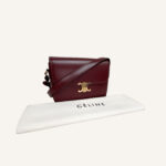 Celine Triomphe Bag