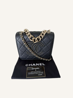 Chanel Quilted Lambskin Beauty Begins CC Flap