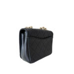 Chanel Quilted Lambskin Beauty Begins CC Flap